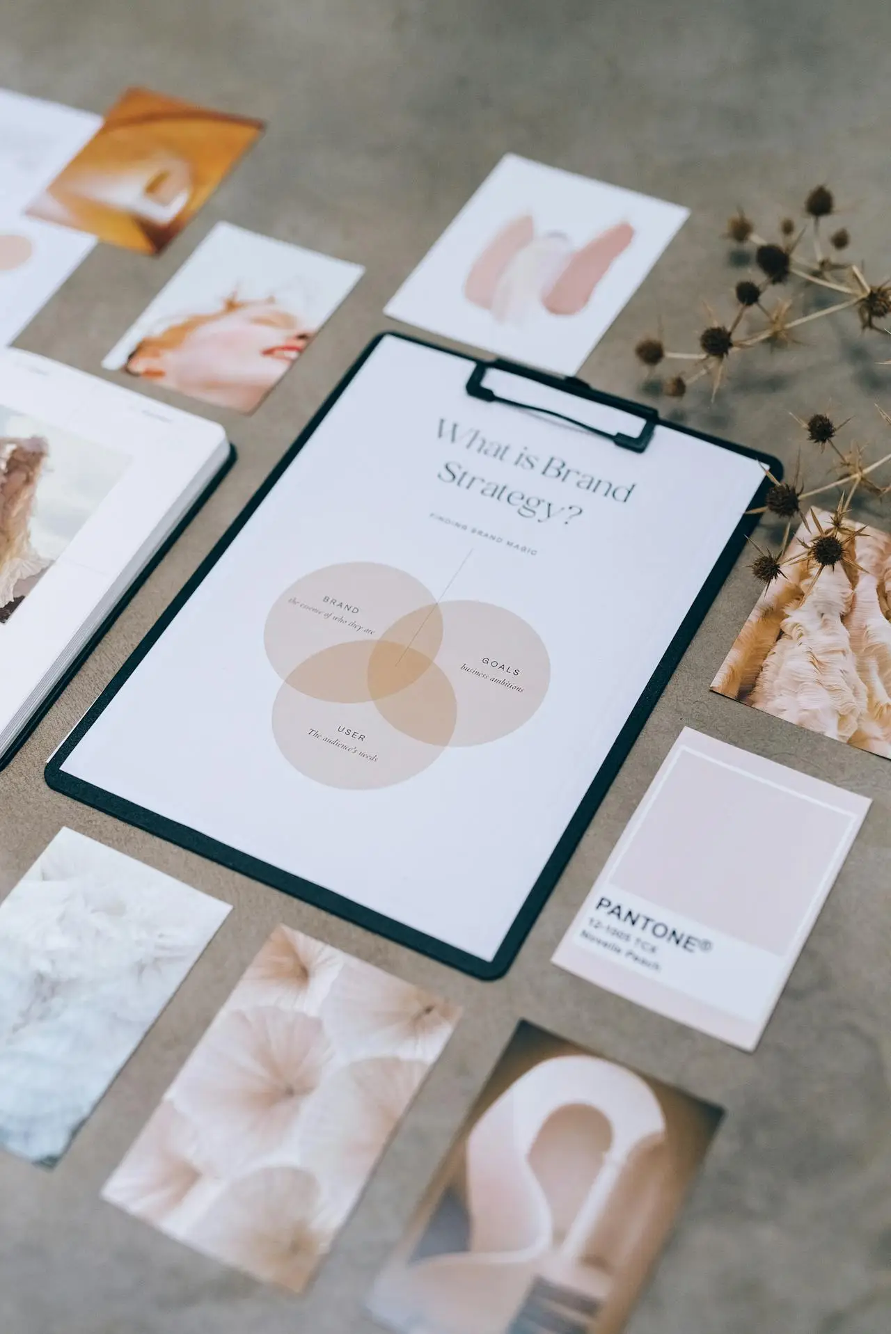 Visual Identity System